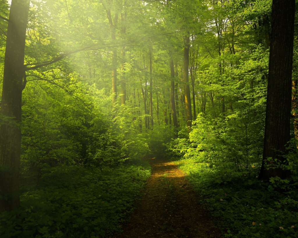 Clean Data Profitability Enhancement